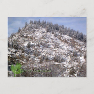 Winter In Greenwood Postcard