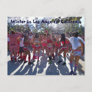 Winter In Los Angeles Postcard! Postcard