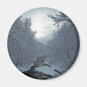 Winter In Maine Magnet