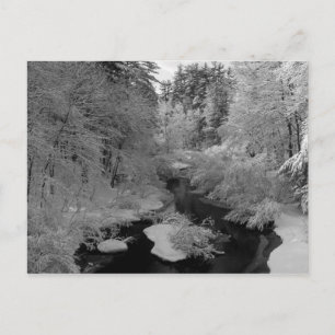 Winter In New England Postcard