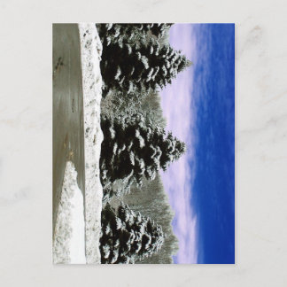 Winter in New England Postcard