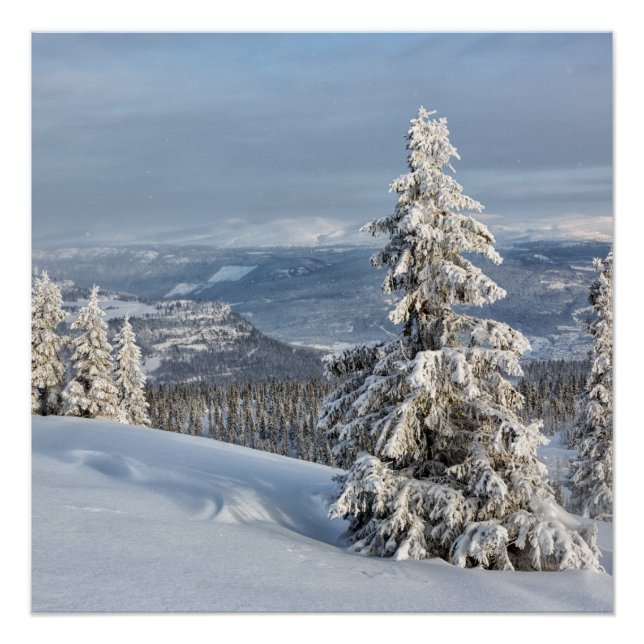 Winter in Norway Poster (Front)