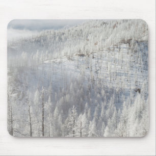 Winter in Pike National Forest Mouse Pad