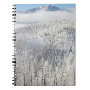 Winter in Pike National Forest Notebook
