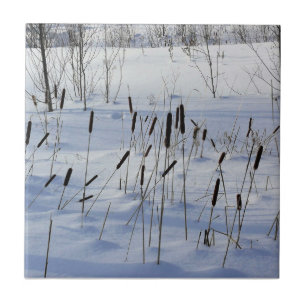 Winter in Quebec, Canada Ceramic Tile