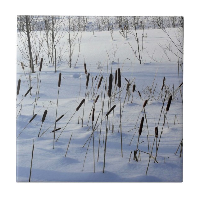 Winter in Quebec, Canada Ceramic Tile (Front)