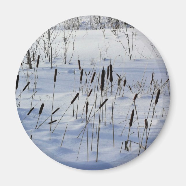 Winter in Quebec, Canada Magnet (Front)