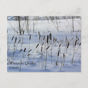 Winter in Quebec, Canada Postcard