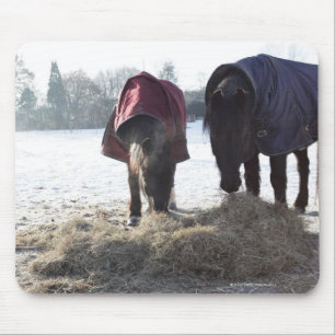 Winter in Rural Hertfordshire, England Mouse Pad