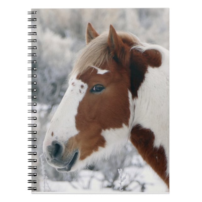 Winter  in Sand Wash Basin Notebook (Front)