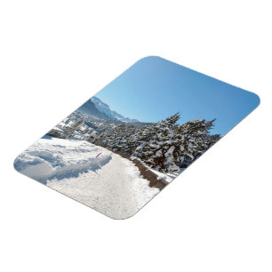 Winter in St. Moritz Magnet