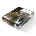 "Winter in Texas" Paperweight