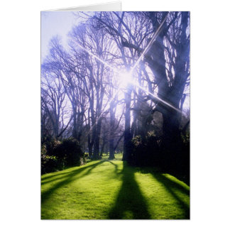 Winter in the Fitzroy Gardens