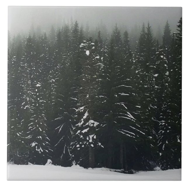 Winter in the Mountain Forest Ceramic Tile (Front)