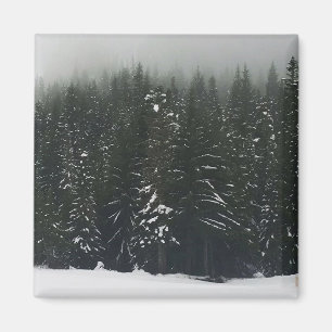 Winter in the Mountain Forest, Oregon Magnet
