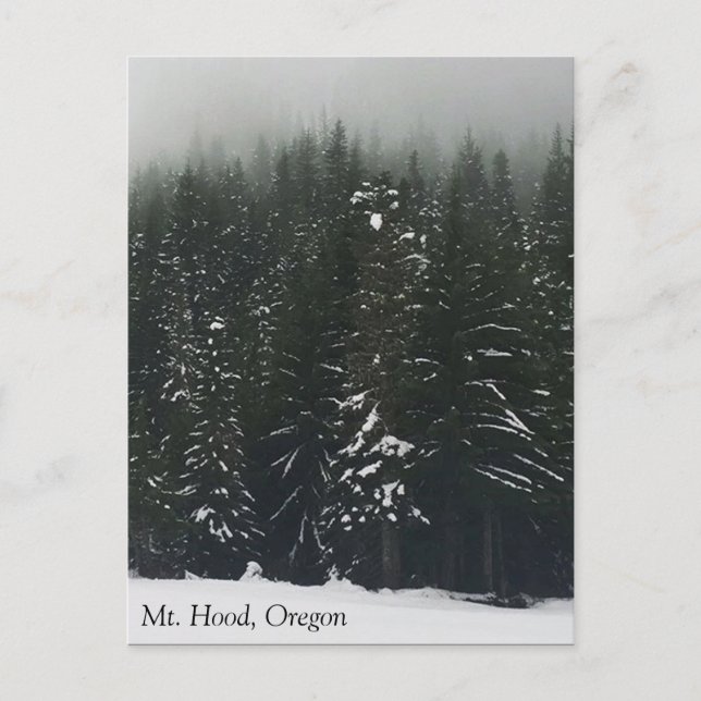 Winter in the Mountain Forest, Oregon Postcard (Front)