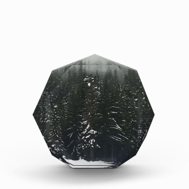 Winter in the Mountain Forest Photo Block (Front)