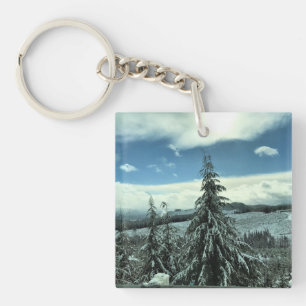 Winter in the Tillamook State Forest, Oregon Key Ring