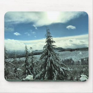 Winter in the Tillamook State Forest, Oregon Mouse Pad
