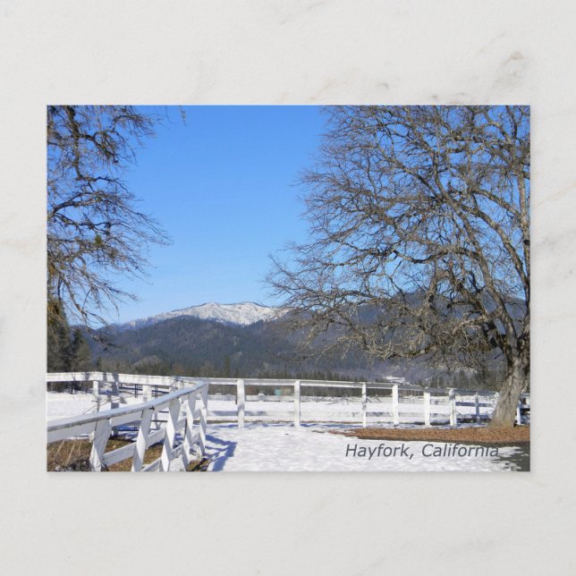 Winter in  the valley..... postcard (Front)