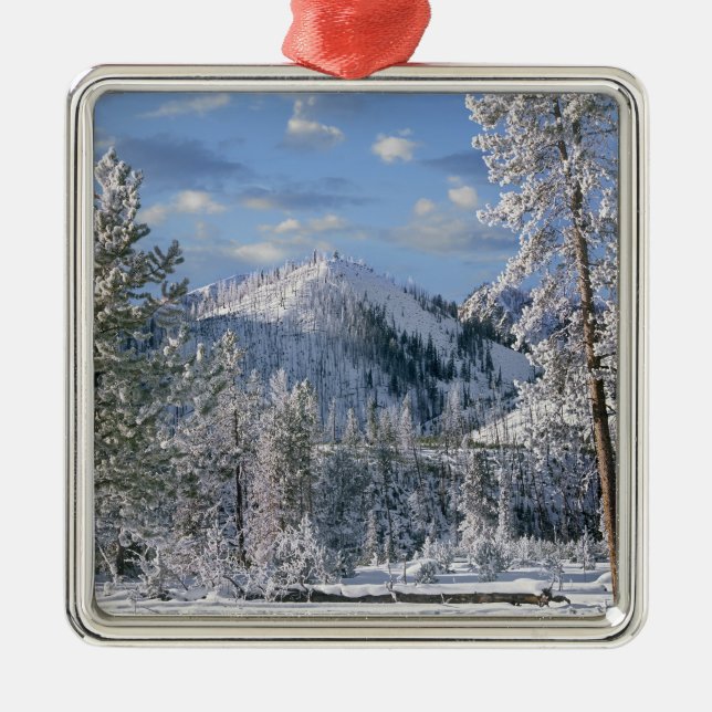 Winter in Yellowstone National Park, Wyoming Metal Ornament (Front)