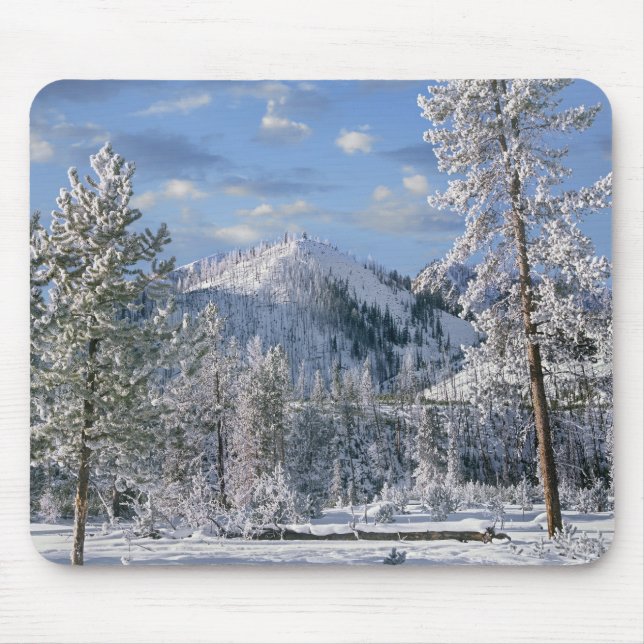 Winter in Yellowstone National Park, Wyoming Mouse Pad (Front)