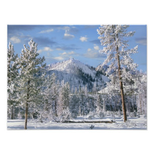 Winter in Yellowstone National Park, Wyoming Photo Print