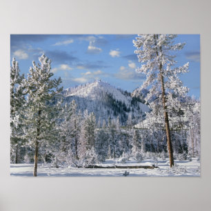Winter in Yellowstone National Park, Wyoming Poster