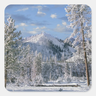 Winter in Yellowstone National Park, Wyoming Square Sticker