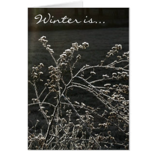 Winter Is