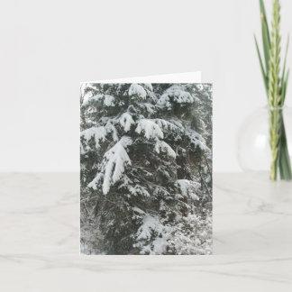 Winter Journey Holiday Card