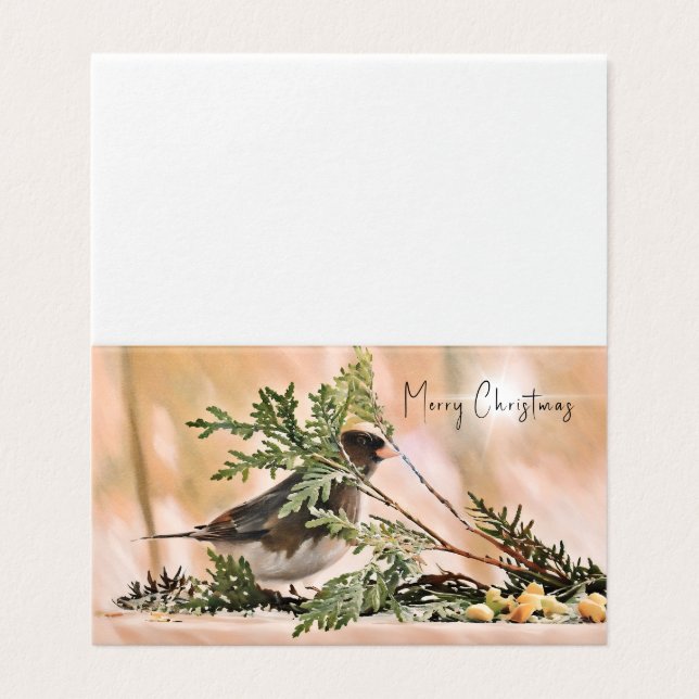 Winter Junco - Wishing You Happiness & Joy (Outside Unfolded)