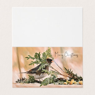 Winter Junco - Wishing You Happiness & Joy