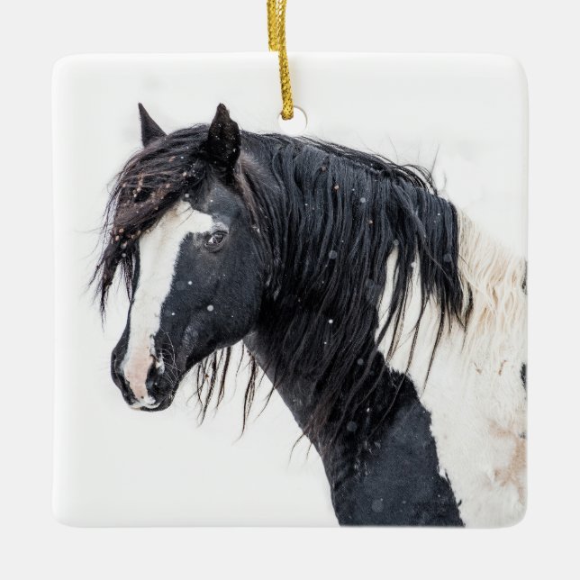 "Winter King" Washakie Ornament (Front)