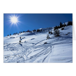 Winter land Winter sun