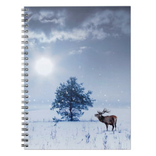 Winter landscape in blue colour. Lonely tree and w Notebook
