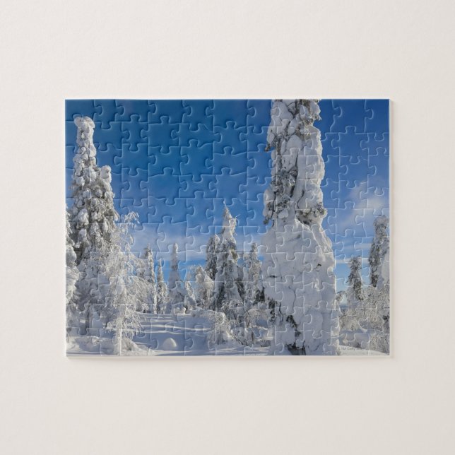 Winter landscape in Lappland Jigsaw Puzzle (Horizontal)
