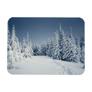 Winter Landscape Magnet