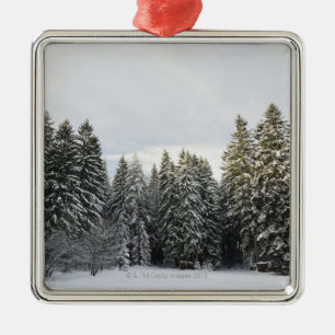 Winter Landscape near Koenigsfeld, Black Forest, Metal Ornament