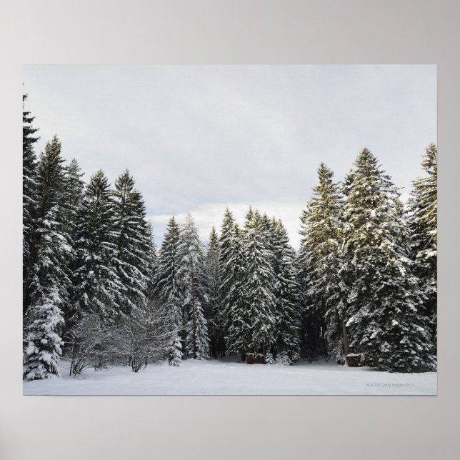 Winter Landscape near Koenigsfeld, Black Forest, Poster (Front)