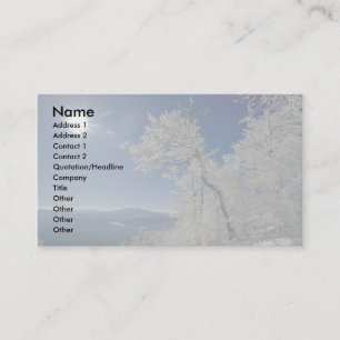 Winter landscape, New England Business Card