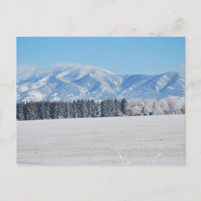 Winter Landscape of Trees, Snow and Mountains Postcard (Front)
