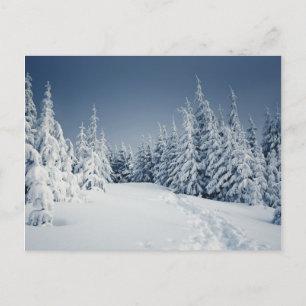 Winter Landscape Postcard