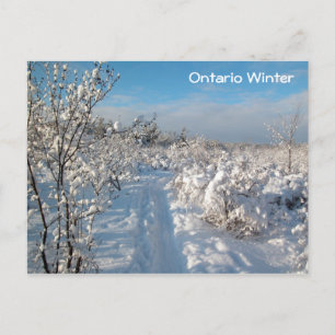 Winter Landscape - Postcard