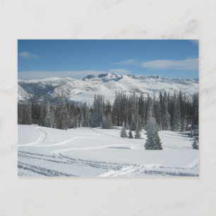 Winter Landscape Postcard