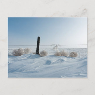 Winter Landscape Postcard