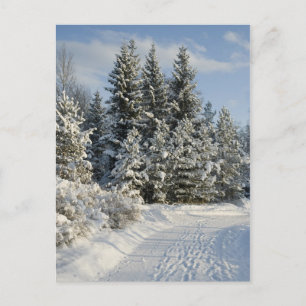 Winter landscape postcard