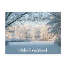 Winter Landscape Postcard