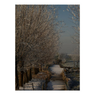 Winter landscape poster