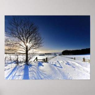 Winter Landscape Poster